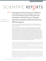 Changing of the genomic pattern of Salmonella enteritidis strains isolated in Brazil over a 48 year-period revealed by whole genome SNP analyses